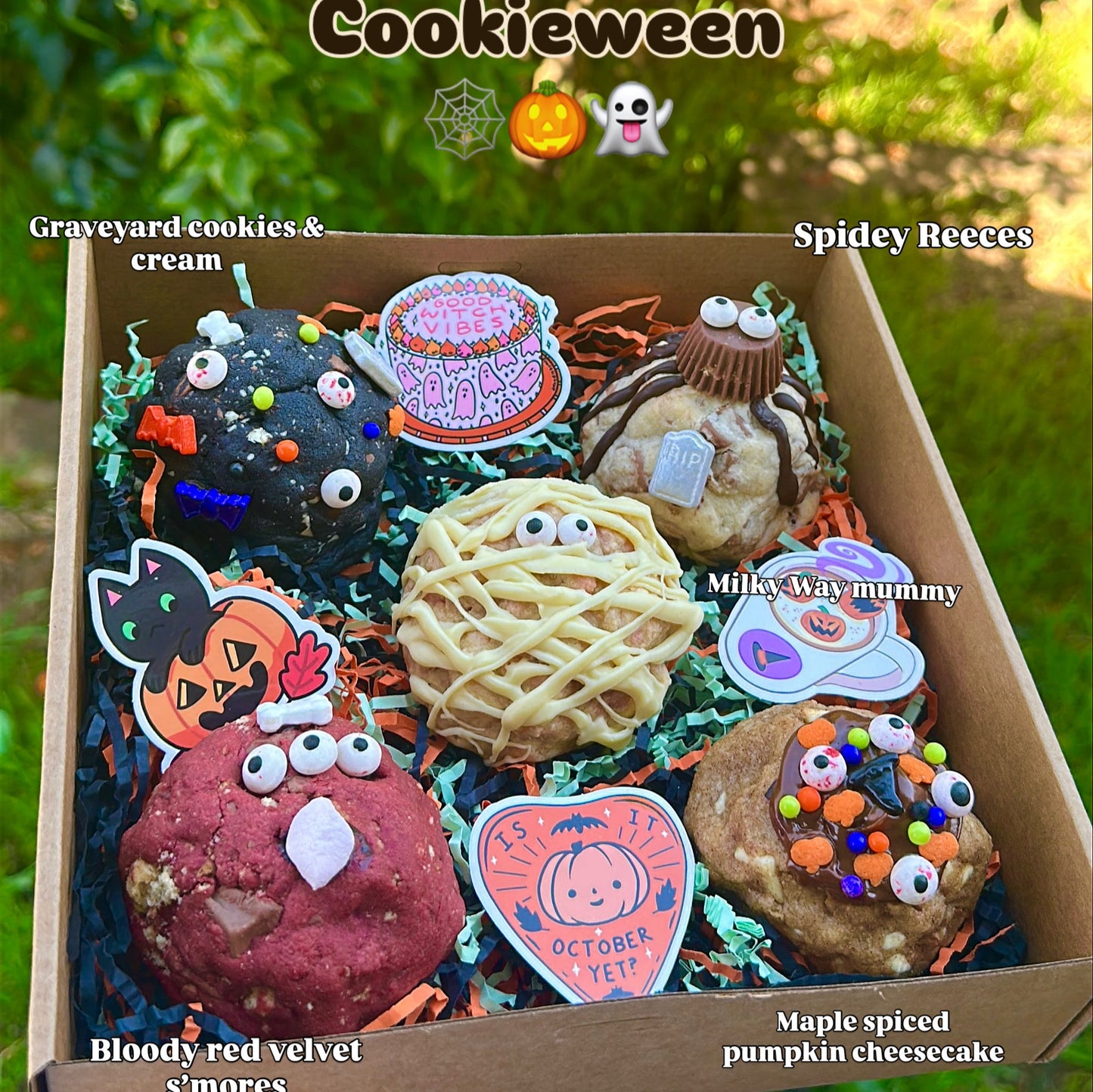 Cookieween Box